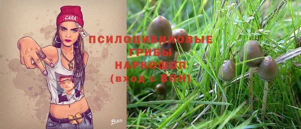стафф Баксан