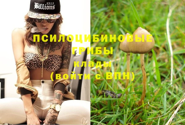 стафф Баксан