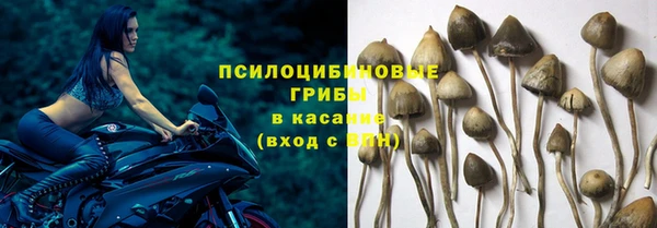 марки nbome Аркадак